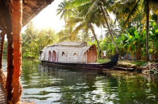House boat in backwaters at palms background in alappuzha, Kerala, India copy