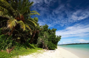 Havelock Island, Andaman Islands, India copy