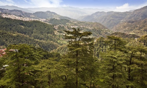 The Queen of Hills: Shimla (Himachal Pradesh, India) – Mrs. Backpacker' s Diary